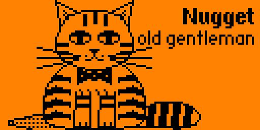 One of Yulia's pictures, full screen: a portrait of Nugget, a tiger-striped cat with a bow tie and white socks, sitting with his striped tail curled beside him, captioned "Nugget, old gentleman".